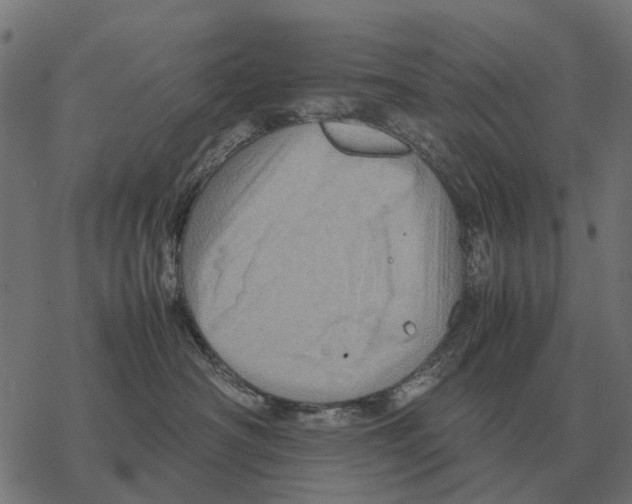 X0000067890430200605111855