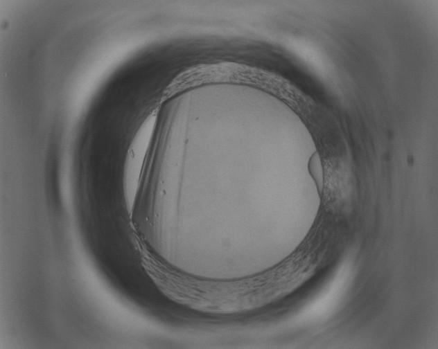 X0000067890431200605111855