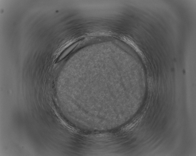 X0000067890433200605111855