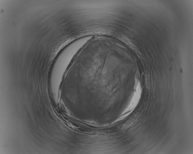 X0000067890434200605111855