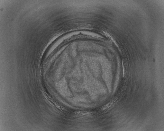 X0000067890435200605111855