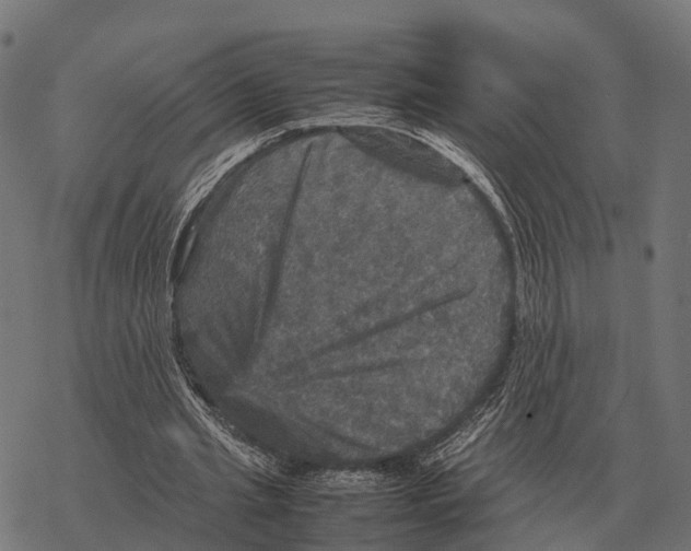 X0000067890437200605111855