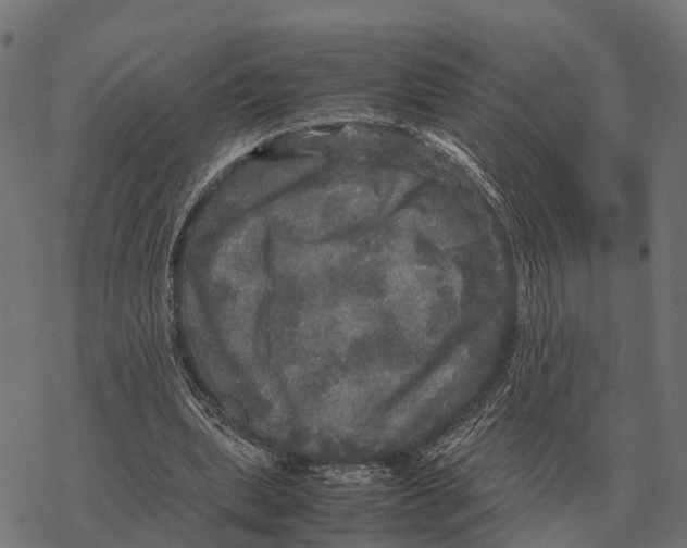 X0000067890439200605111855