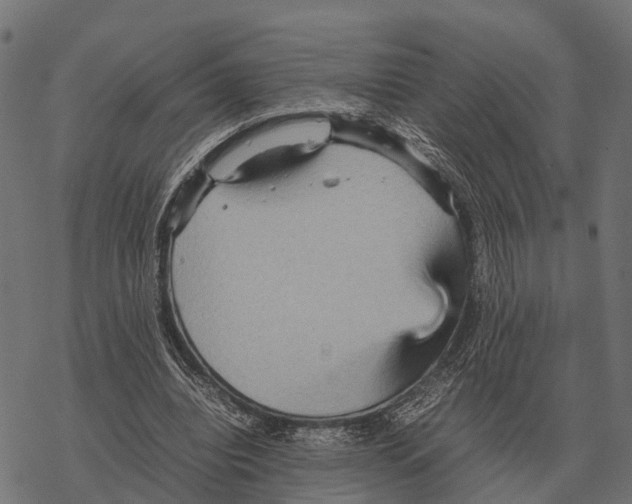 X0000067890440200605111855