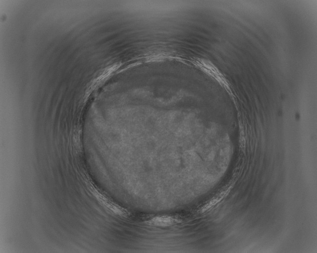 X0000067890441200605111855