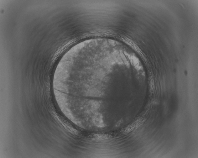 X0000067890442200605111855