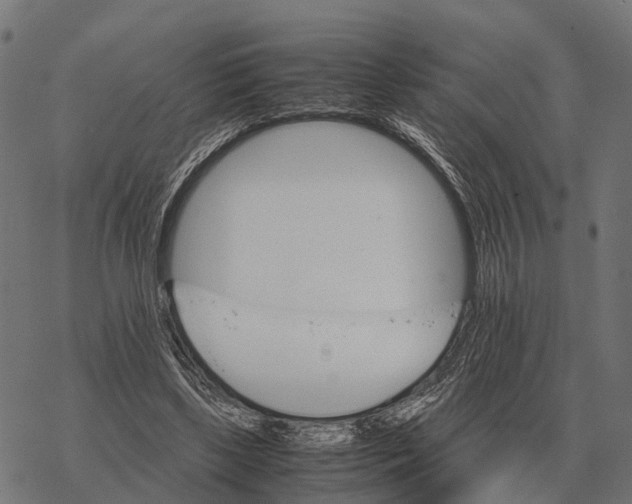 X0000067890443200605111855