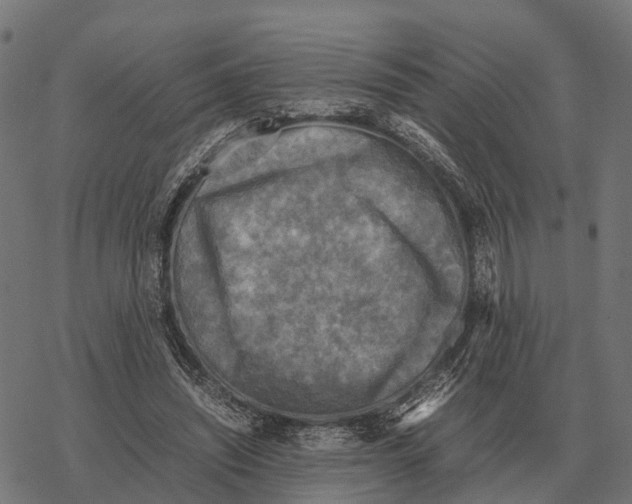 X0000067890444200605111855