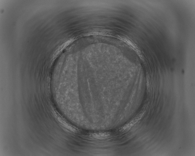 X0000067890445200605111855