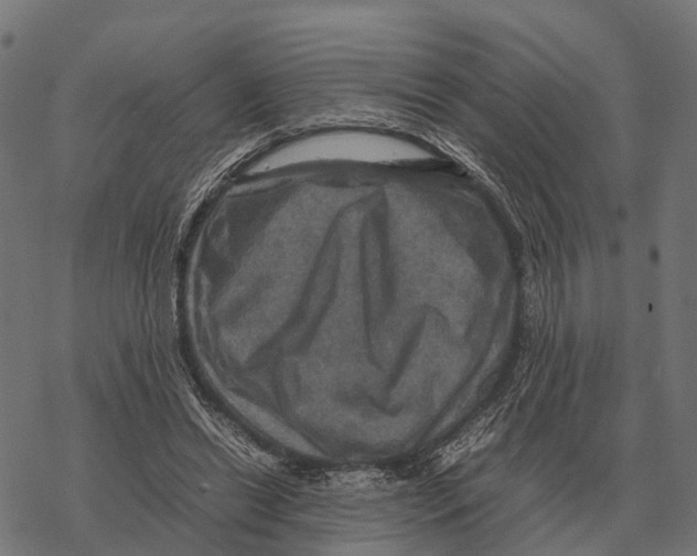 X0000067890446200605111855