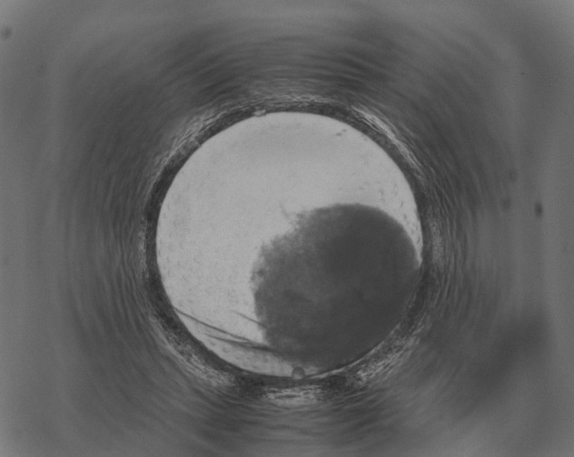 X0000067890447200605111855