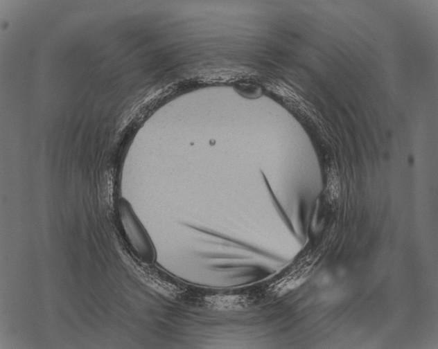 X0000067890448200605111855