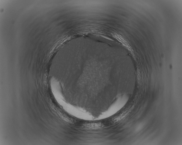 X0000067890449200605111855