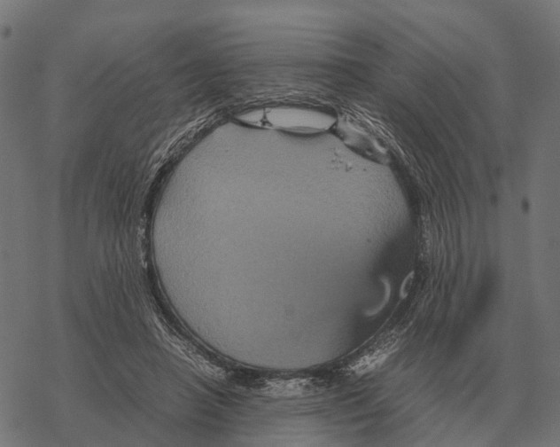 X0000067890450200605111855