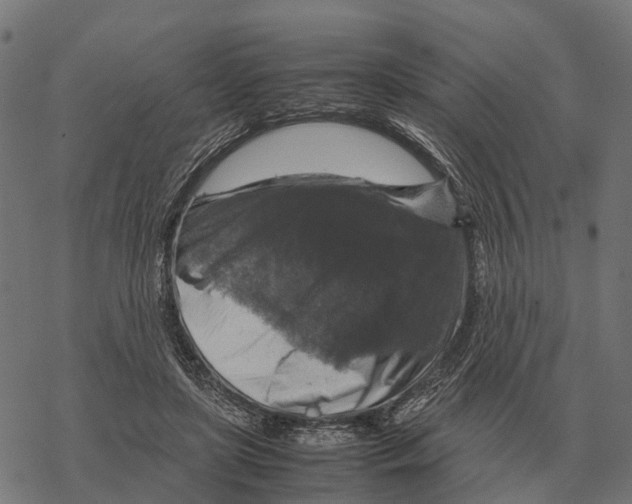 X0000067890451200605111855