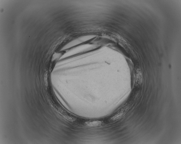 X0000067890452200605111855