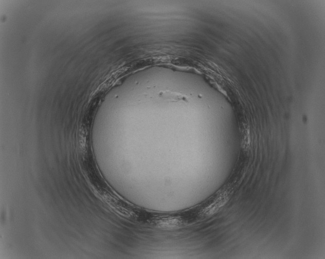 X0000067890456200605111855