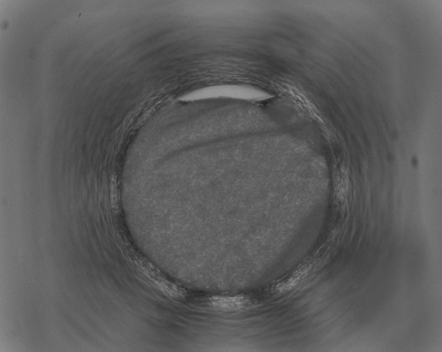 X0000067890457200605111855