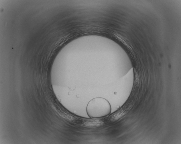 X0000067890459200605111855