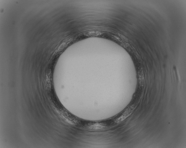 X0000067890460200605111855