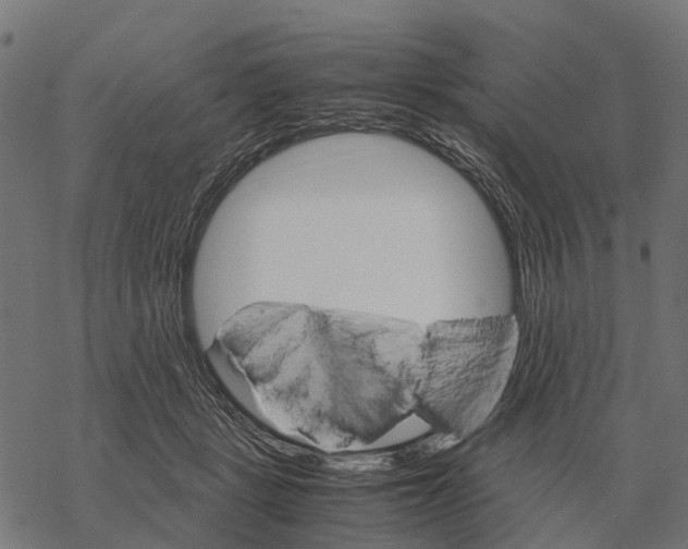 X0000067890461200605111855