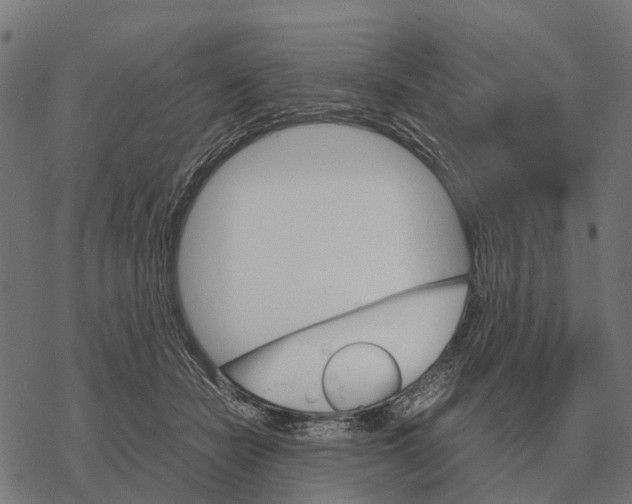 X0000067890462200605111855