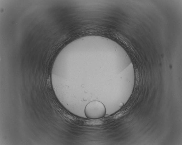 X0000067890463200605111855