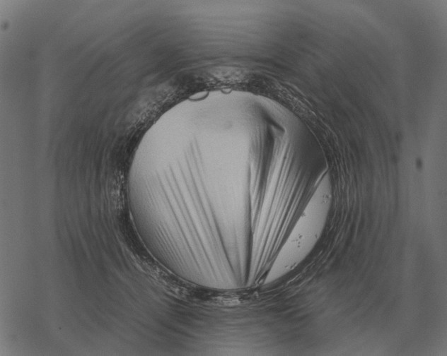 X0000067890464200605111855