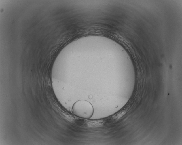 X0000067890465200605111855