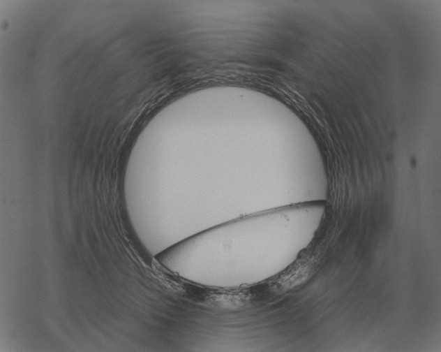 X0000067890466200605111855