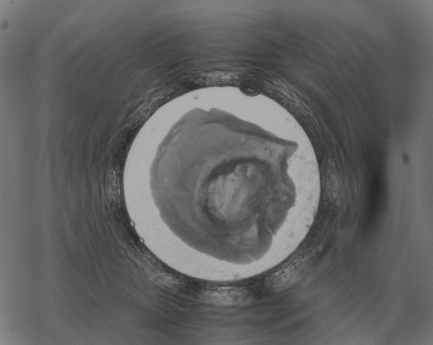 X0000067890467200605111855