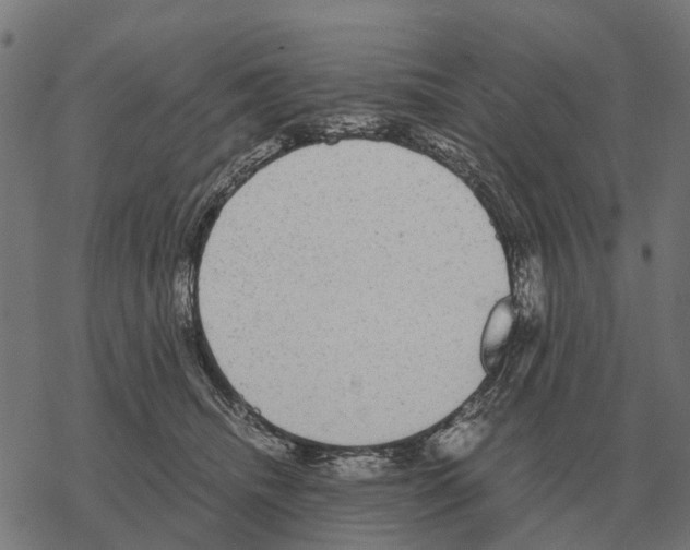 X0000067890468200605111855