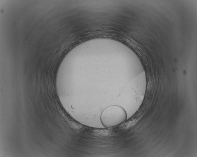 X0000067890469200605111855