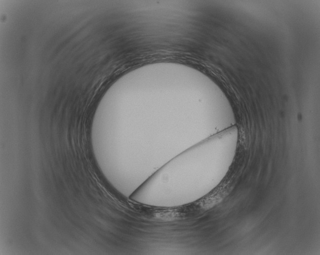 X0000067890470200605111855