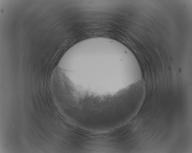 X0000067890473200605111855