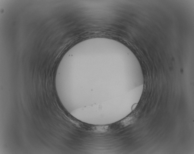 X0000067890474200605111855