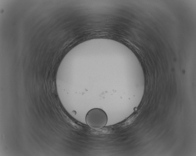 X0000067890475200605111855