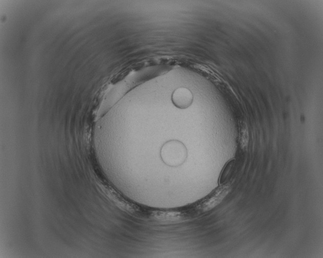 X0000067890476200605111855