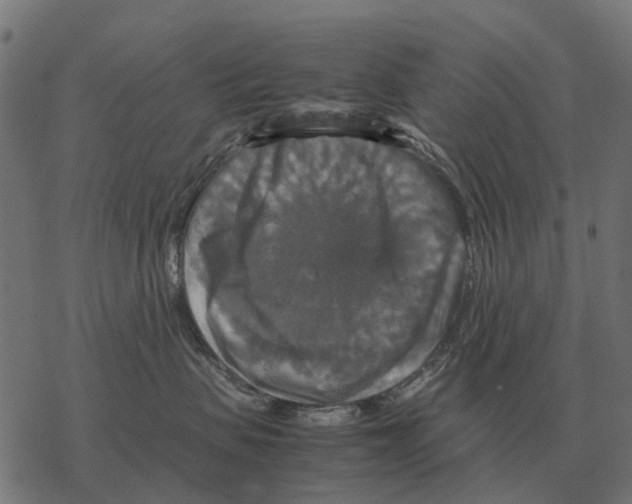 X0000067890479200605111855