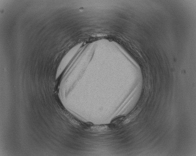 X0000067890480200605111855