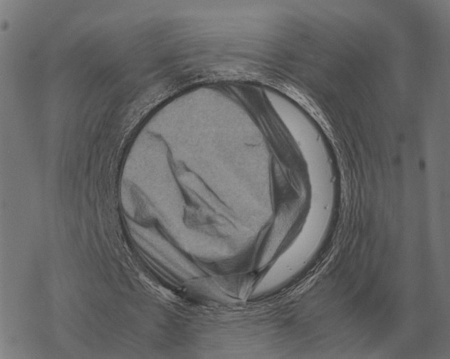 X0000067890481200605111855