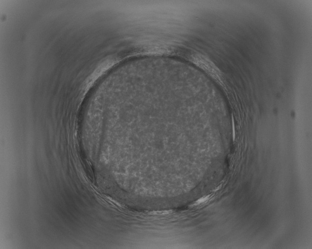 X0000067890483200605111855