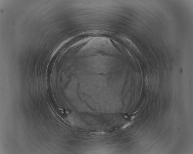 X0000067890484200605111855