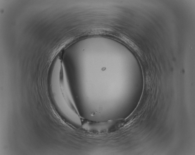 X0000067890485200605111854