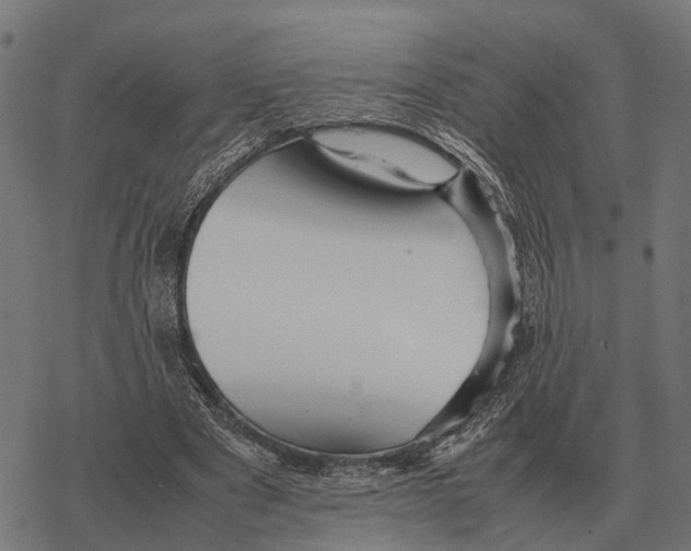 X0000067890489200605111854