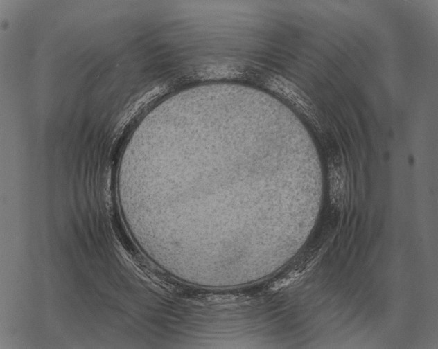 X0000067890490200605111854