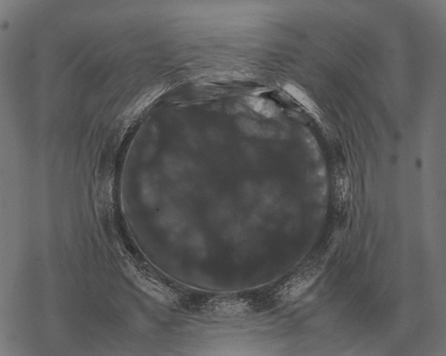 X0000067890491200605111854