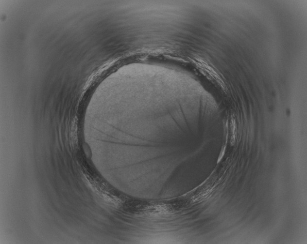 X0000067890492200605111854