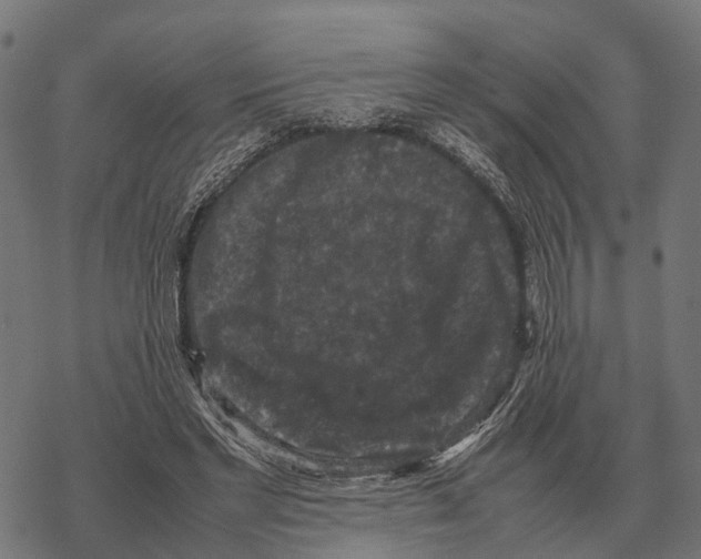 X0000067890493200605111854