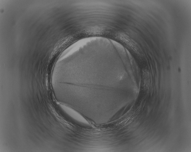 X0000067890494200605111854